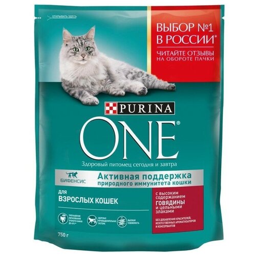 пробиотик для кошек purina pro plan fortiflora для микрофлоры кишечника 30 пакетиков по 1 г Сухой корм ONE для кошек, говядина с цельными злаками, 750 г