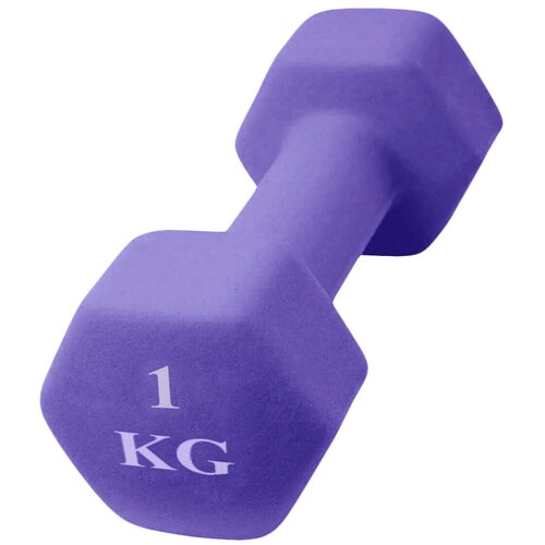 Шестиугольная гантель 1 кг, фиолетовая