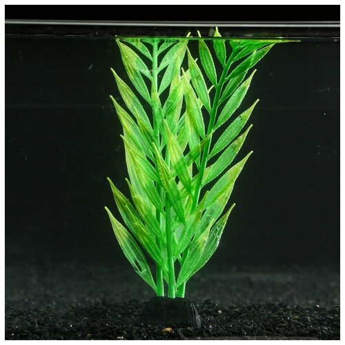 Растение силиконовое аквариумное, светящееся в темноте, 8 х 24 см, зелёное 7108810 .