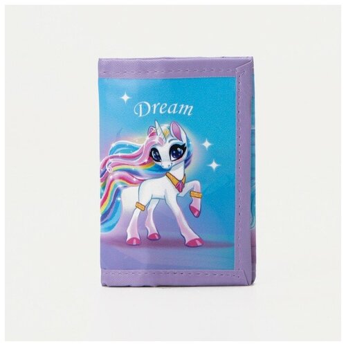 фото Кошелёк на липучке, цвет розово/голубой ---