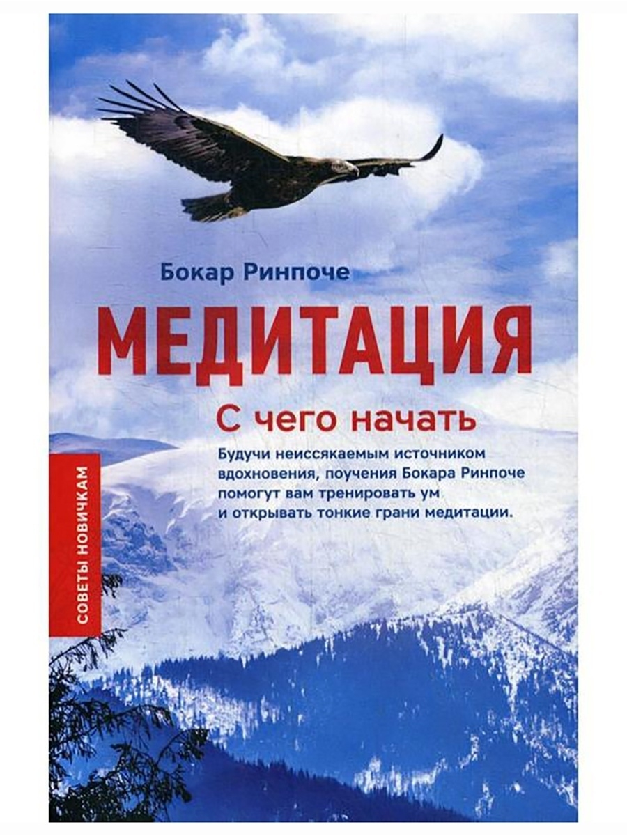 Медитация. С чего начать (Ринпоче Б.) - фото №8