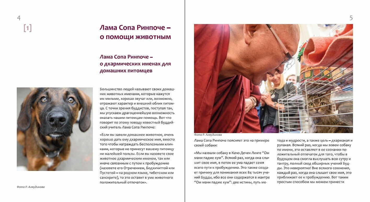 Буддийские методы помощи животным. — фото 1