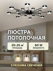 Люстра GloLight, LED, IP20, 20м², 16 ламп, потолочная, металл/пластик, черная, белая