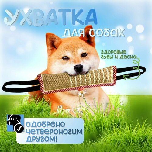 Ухватка, перетяжка, грызак для собак