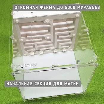 Огромная муравьиная ферма Башня v1 от MyAnts для муравьев (вертикальный гипсовый формикарий)
