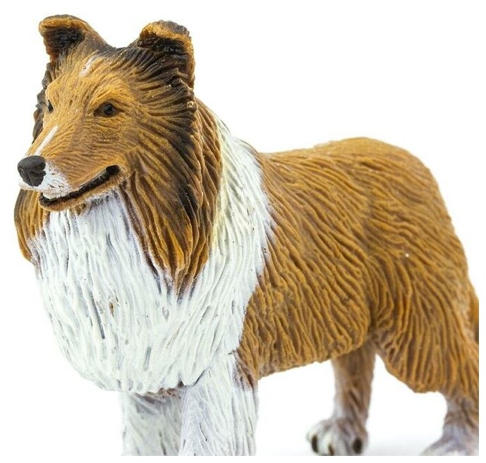 Фигурка собаки Safari Ltd Колли, для детей, игрушка коллекционная, 239329