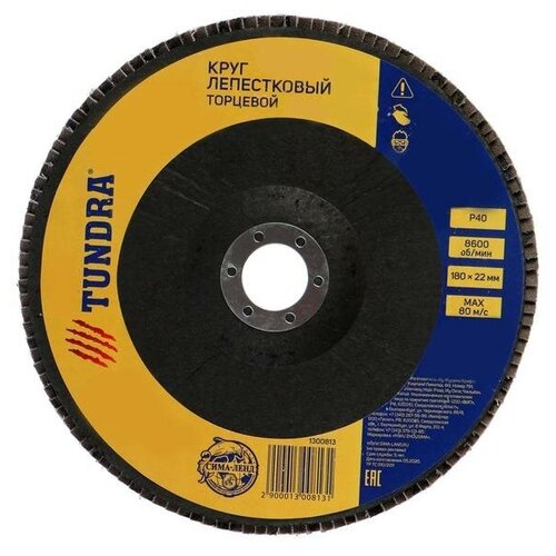 Лепестковый диск Тундра 1300813, 1 шт.