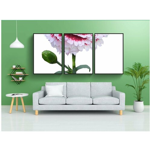 фото Набор модулных постеров для интерьера "гвоздика, корень, цветок" 60x90 см. в тубусе, без рамки lotsprints