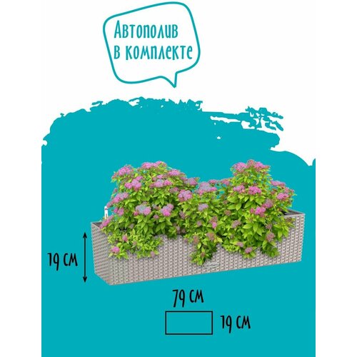 Кашпо Lechuza BALCONERA Cottage 80, с автополивом и субстратом