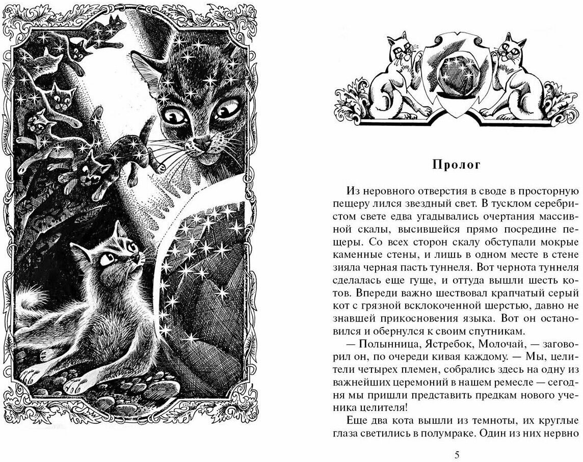 Книга Тайна Щербатой. Книга 1. Предназначение - фото №2