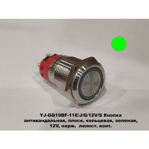 YJ-GQ16BF-11E/J/G/12V/S Кнопка антивандальная, плоск, кольцевая, зеленая , 12V, нерж. лепест. конт.