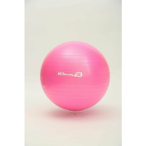 фото Мяч гимнастический фитбол d 550мм.900гр mdbuddy md buddy