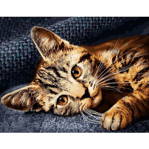 Картина по номерам Котенок 40х50 см Hobby Home картина по номерам котенок в гамаке 40х50 см