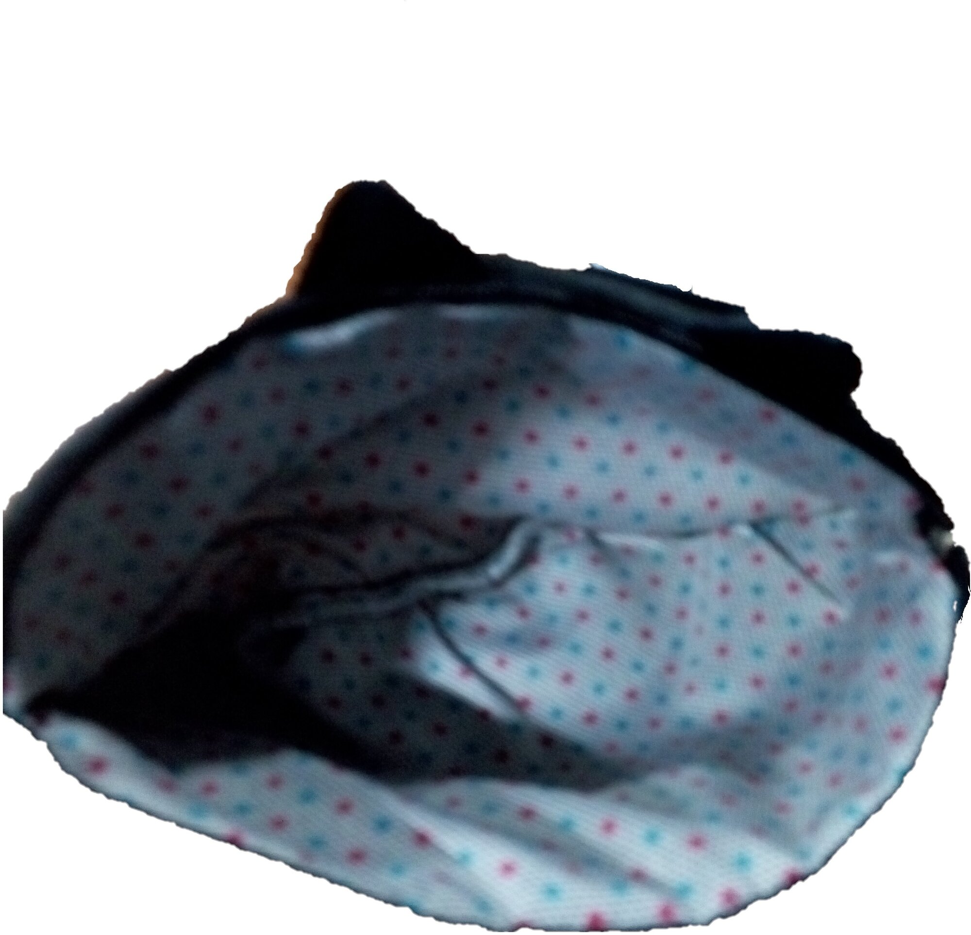 Пенал школьный на молнии "Кошки" — фото 1