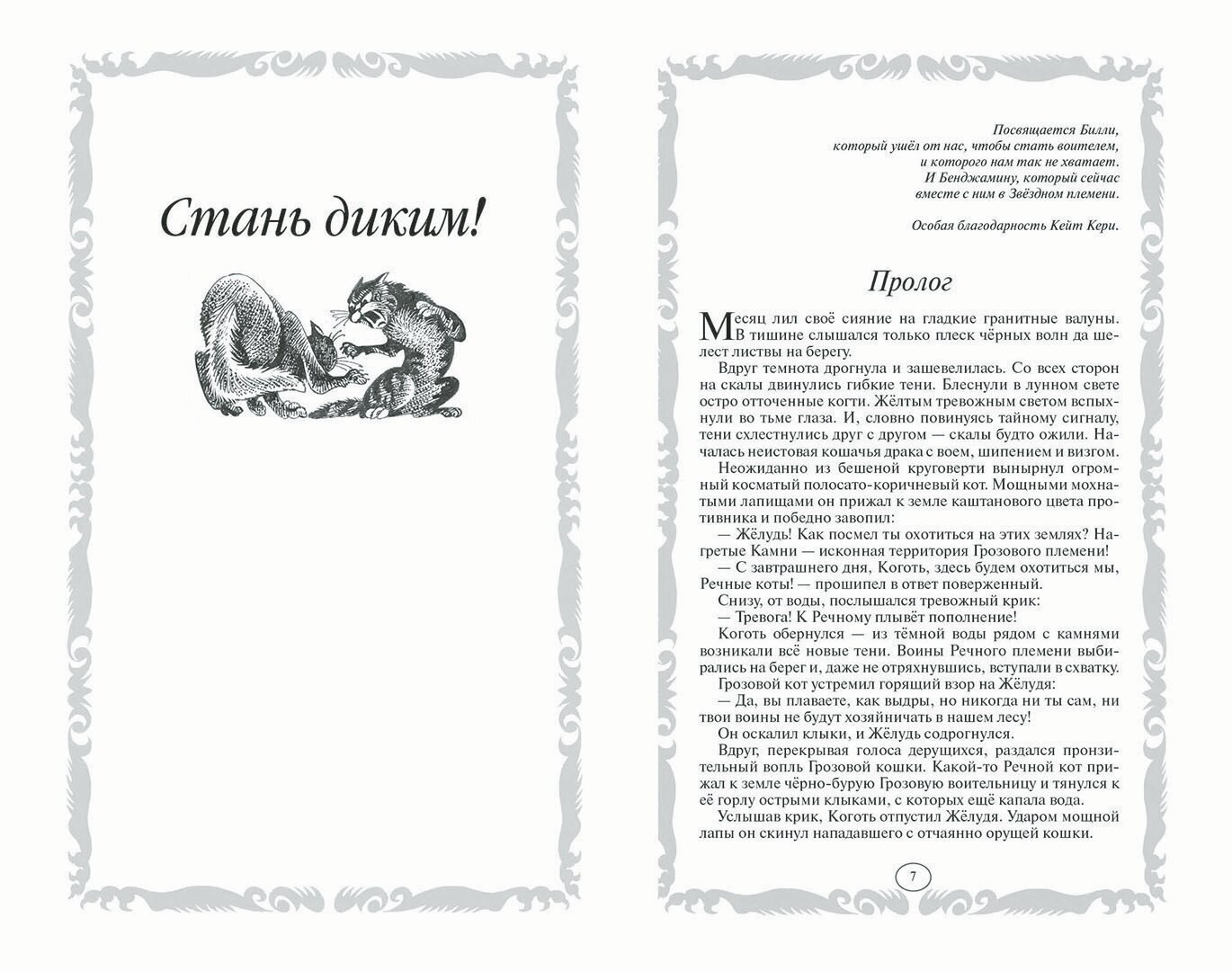 Книга Коты-воители. Стань диким! Огонь и лед - фото №6