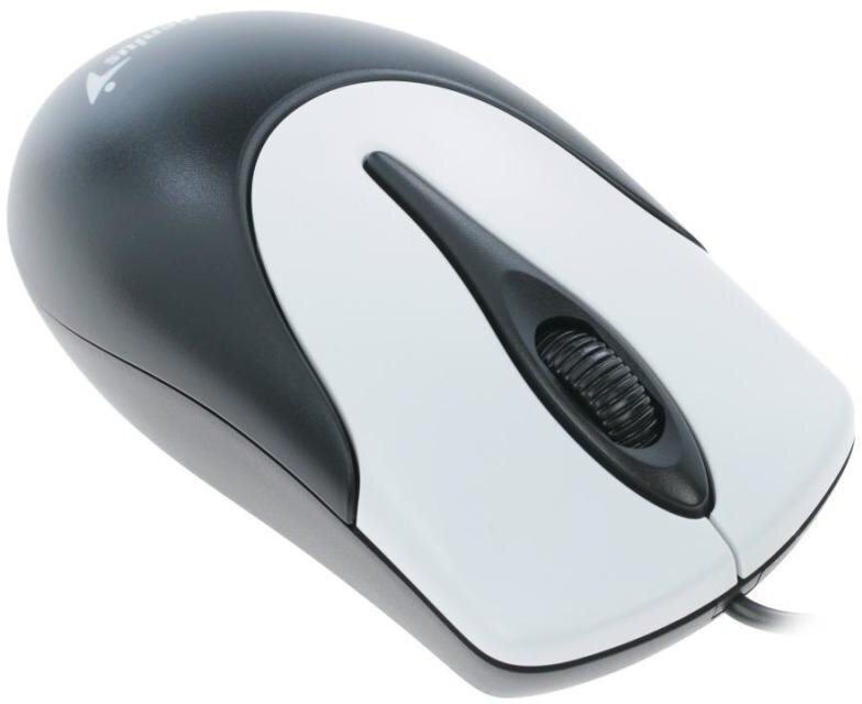 Мышь компьютерная NetScroll 100 V2