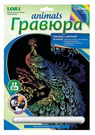 Гравюра с цветной основой "Грациозный павлин", 18х24 см, основа, штихель, LORI, Гр-431