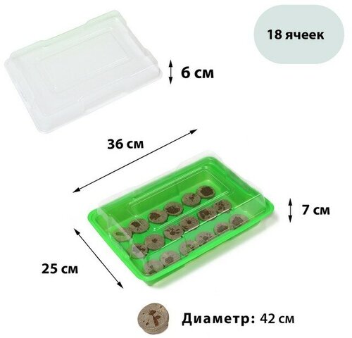 Мини-парник для рассады: торфяная таблетка d = 4,2 см (18 шт.), парник 36 × 25 см, зелёный