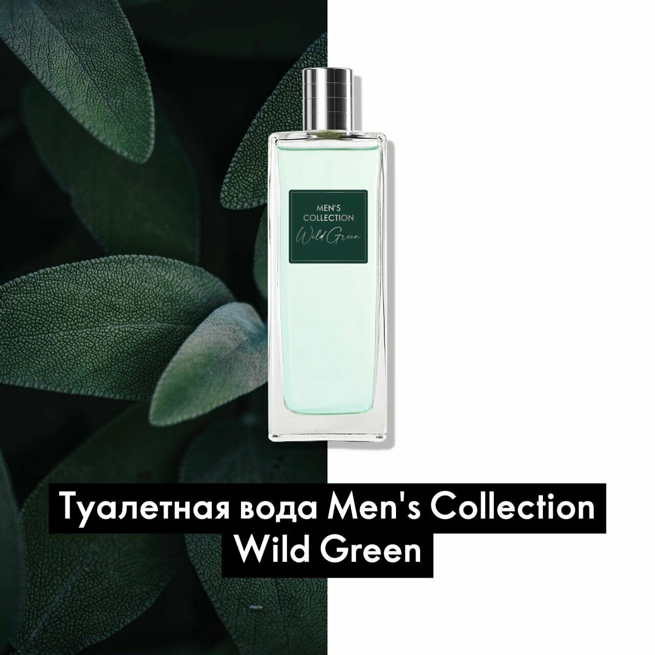 Men's Collection Wild Green