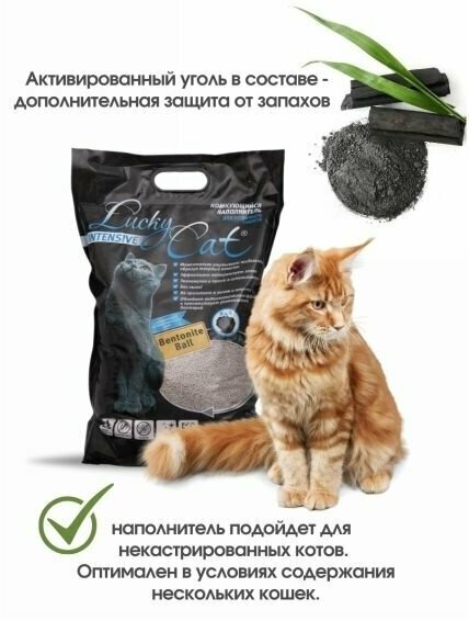 Наполнитель Lucky Cat комкующийся 5л с активированным углем для кошачьего туалета - фотография № 3