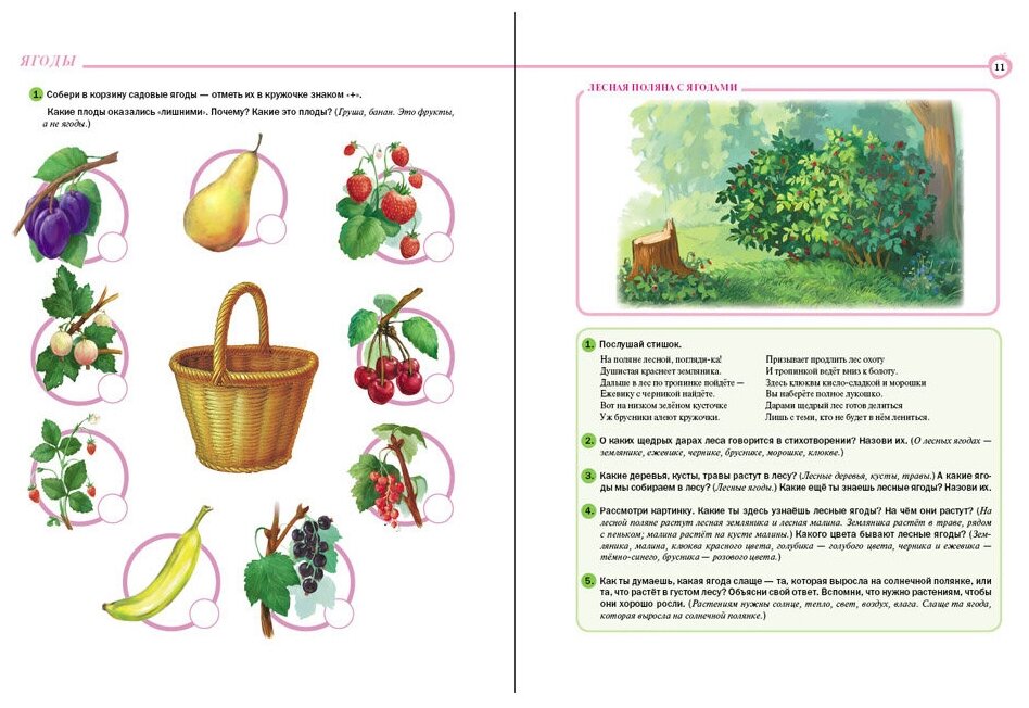 Календарный план в подготовительной группе на тему грибы и ягоды