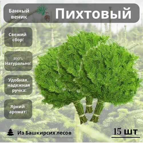 Банный веник пихтовый 15 штук