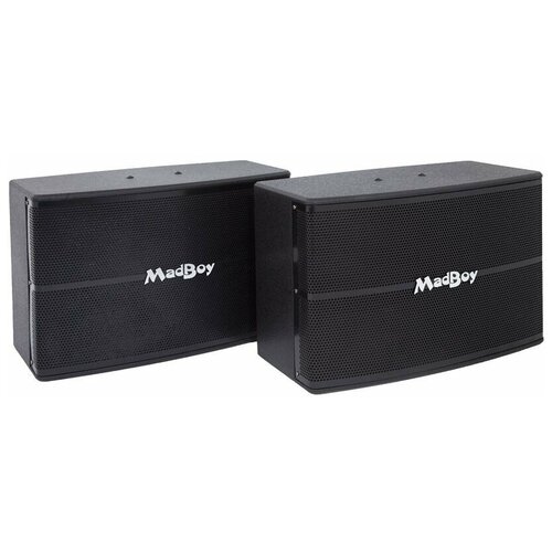 Пассивная акустика MadBoy SCREAMER-410W 4499000₽