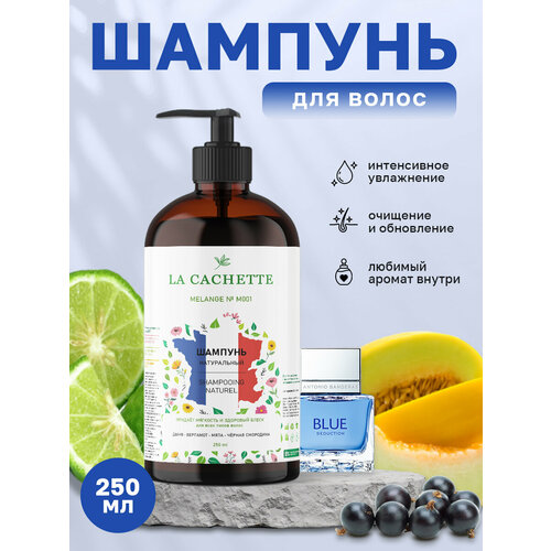 Шампунь для волос увлажняющий La Cachette M001 Blue Seduction, 250 мл, с дозатором