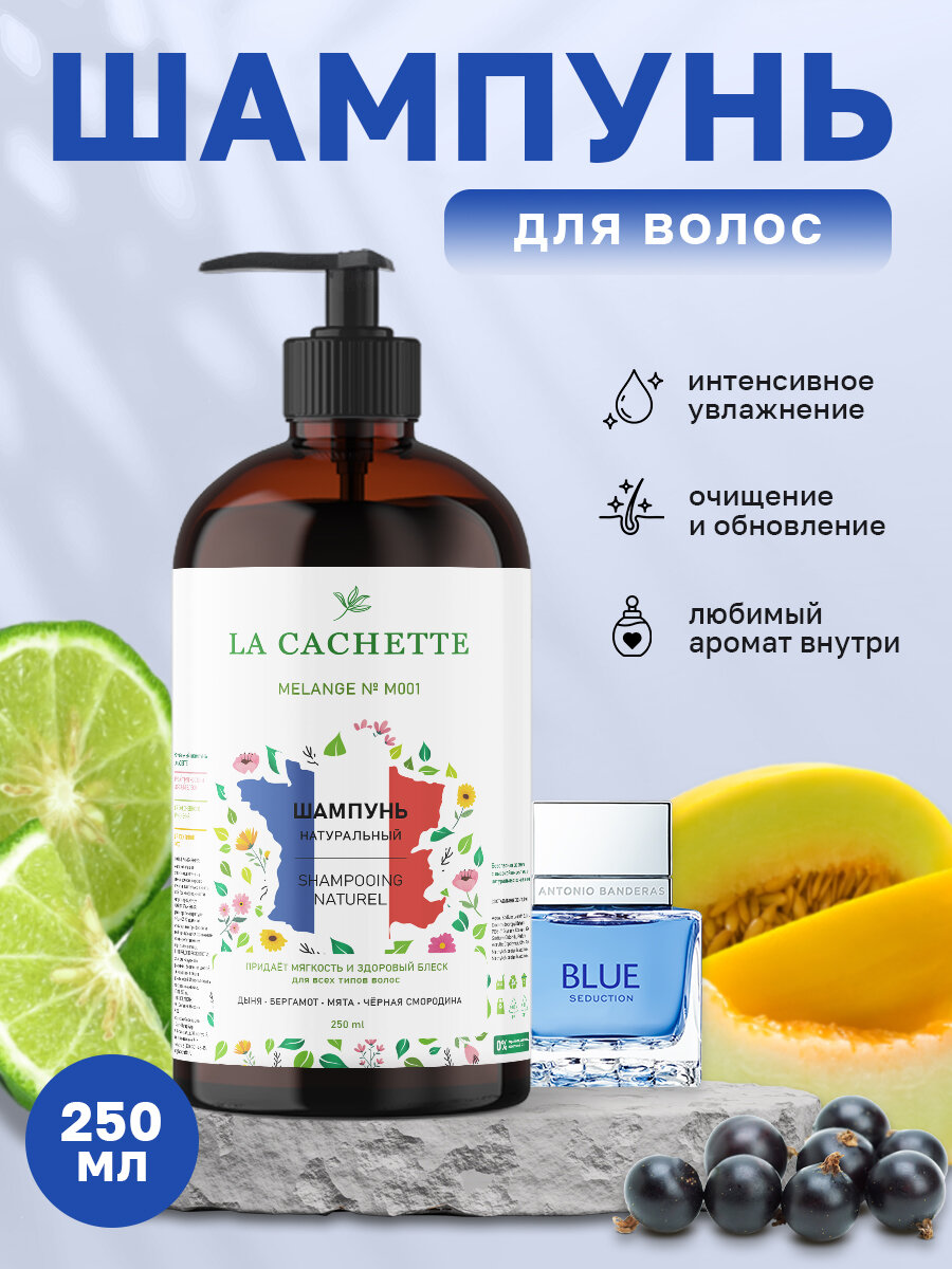 Шампунь для волос увлажняющий La Cachette M001 Blue Seduction, 250 мл, с дозатором