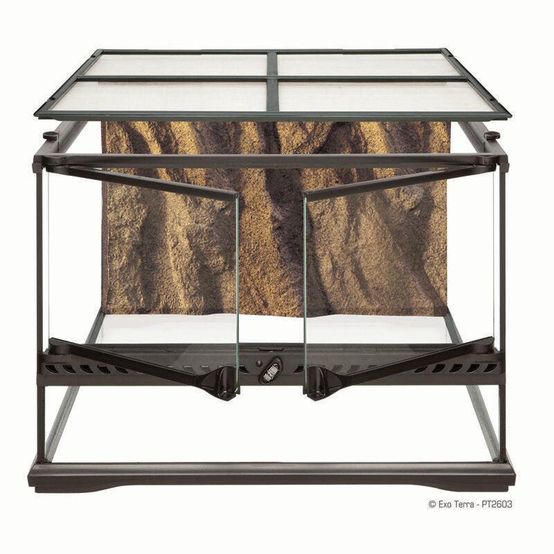 Террариум EXO TERRA Natural Terrarium Small из силикатного стекла (45х45х30см) PT2603 - фотография № 6