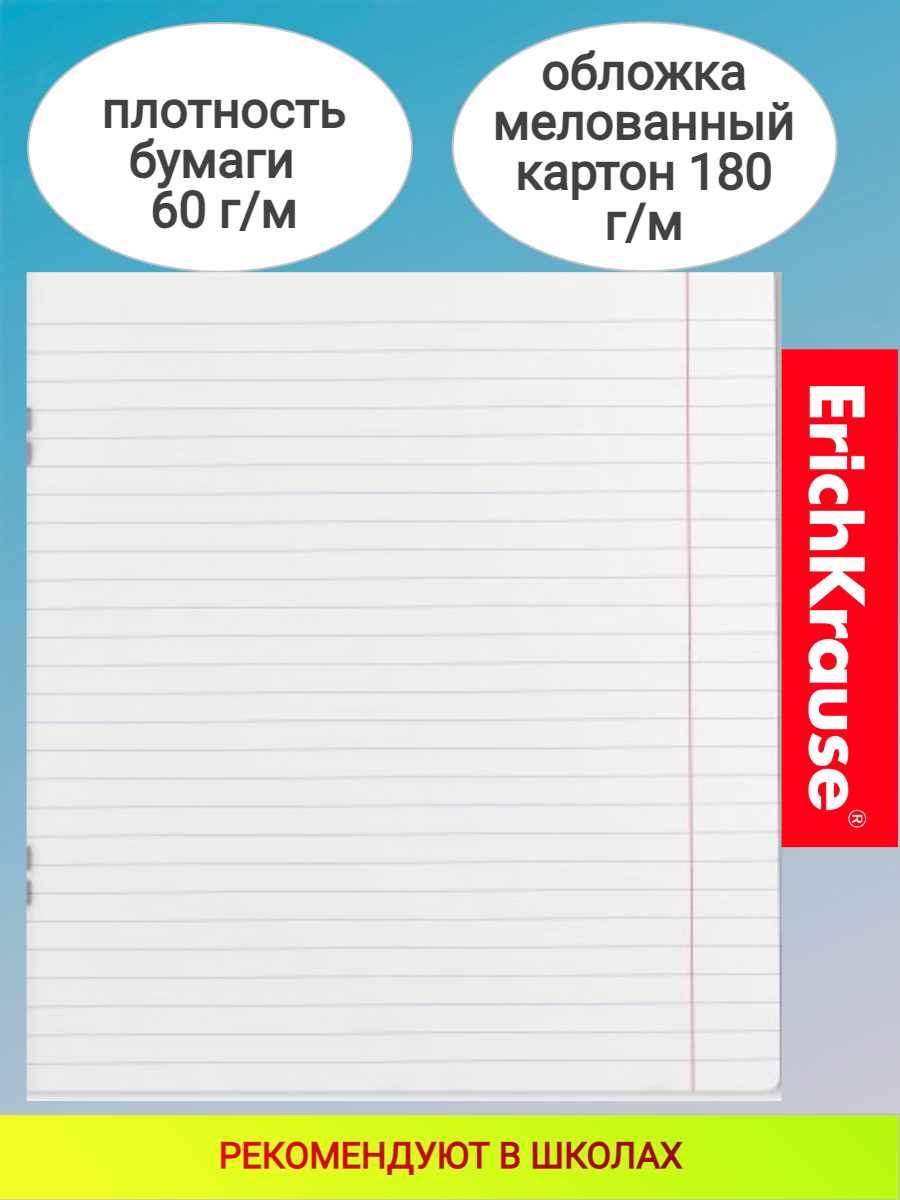 Школьная тетрадь А5 12 листов линейка Erich Krause Классика зеленая - фото №7