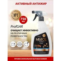 Активный спрей антижир ProfGAR