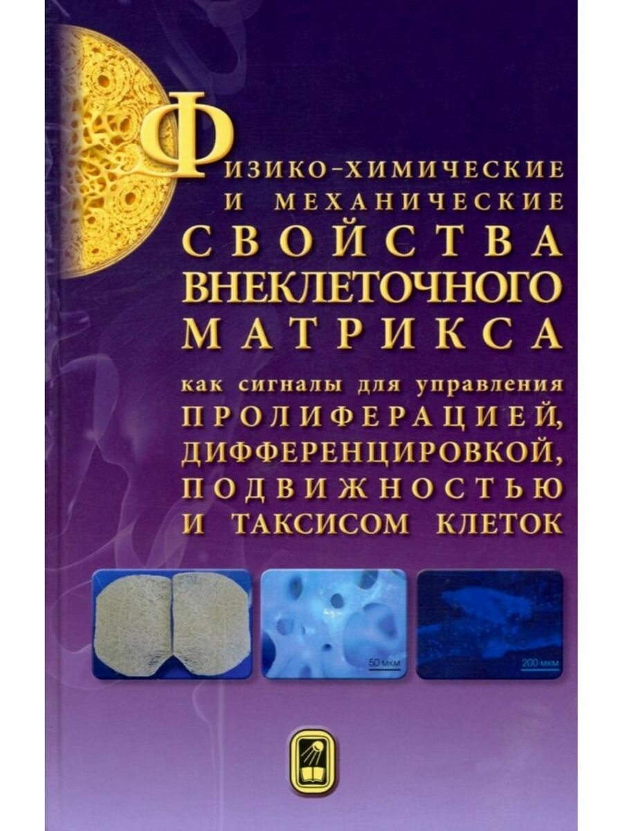 Физико-химические и механические свойства внеклеточного матрикса как сигналы для управления - фото №3