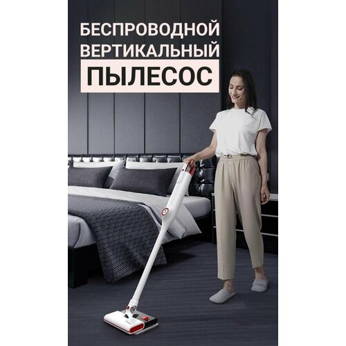 Вертикальный пылесос беспроводной 690000₽