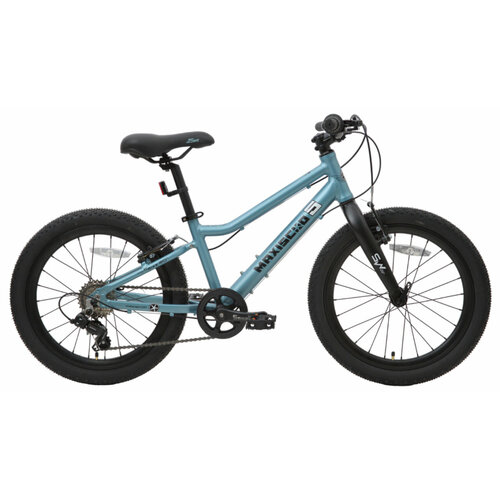 Детский велосипед Maxiscoo 5Bike 20 Girl 2024 20 Голубой 120-140 см 2990000₽