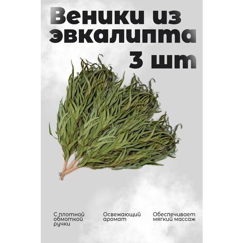 фото Набор 3х веников woodson для бани из эвкалипта с обмоткой