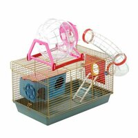 Клетка для грызунов малая с лабиринтом, колесом и домом, 40 x 25 х 22 см, микс цветов .