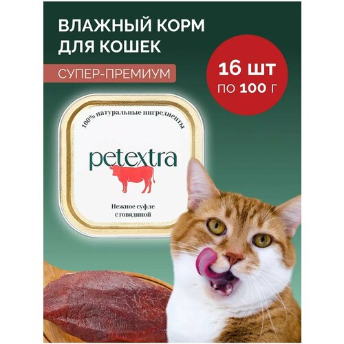 Мягкий корм для кошек с говядиной PETEXTRA