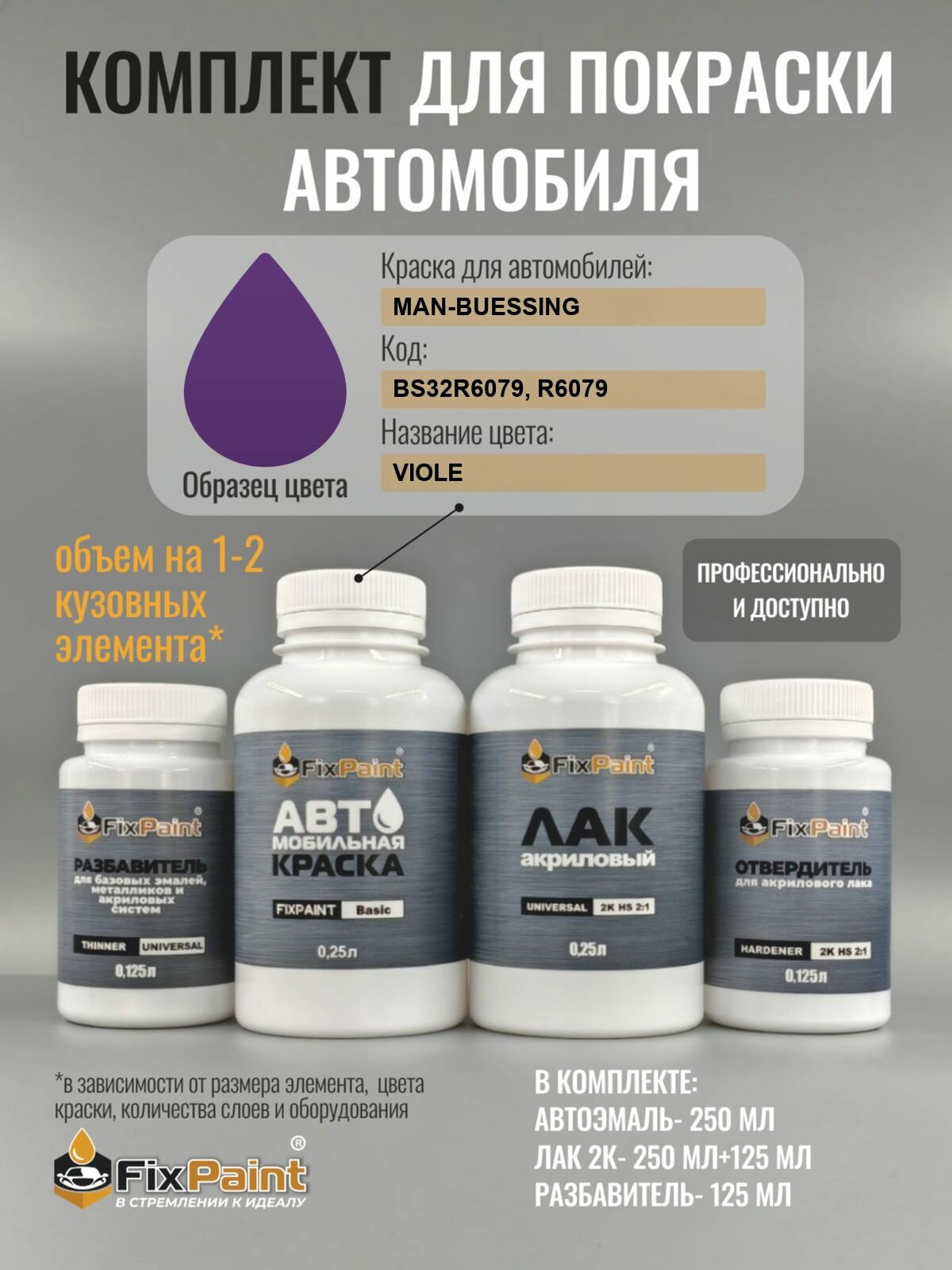 Комплект для покраски MAN-BUESSING, код BS32R6079, R6079, VIOLE, базовая автомобильная эмаль 250 мл, лак 2K 250 мл с отвердителем, разбавитель 125 мл, FixPaint Pro