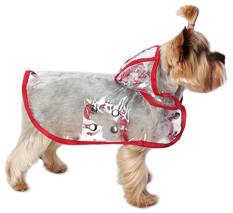 Дождевик для собак Монморанси "Дождевик прозрачный", цвет: красный, размер S, длина спины 22 см. - фотография № 5