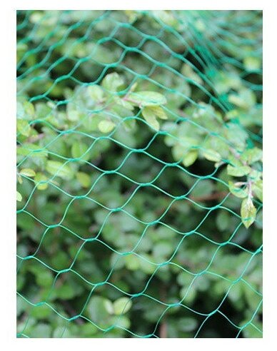 Защитная сетка от птиц Ягодка У-20 от птиц, 10 м, лесной зеленый, Протэкт - фотография № 5