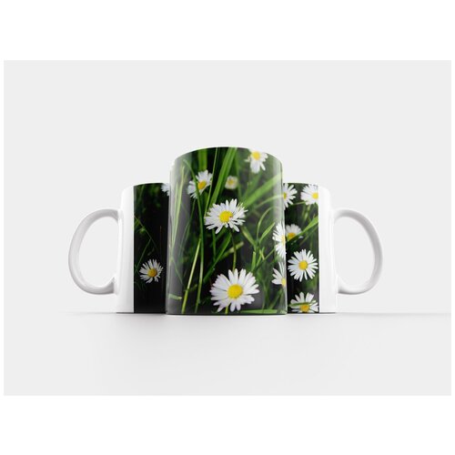 фото Кружка "маргаритка, сад, луг" 320 мл lotsprints