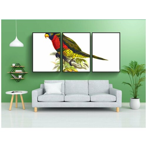 фото Набор модулных постеров для интерьера "животное, птица, попугай" 60x90 см. в тубусе, без рамки lotsprints