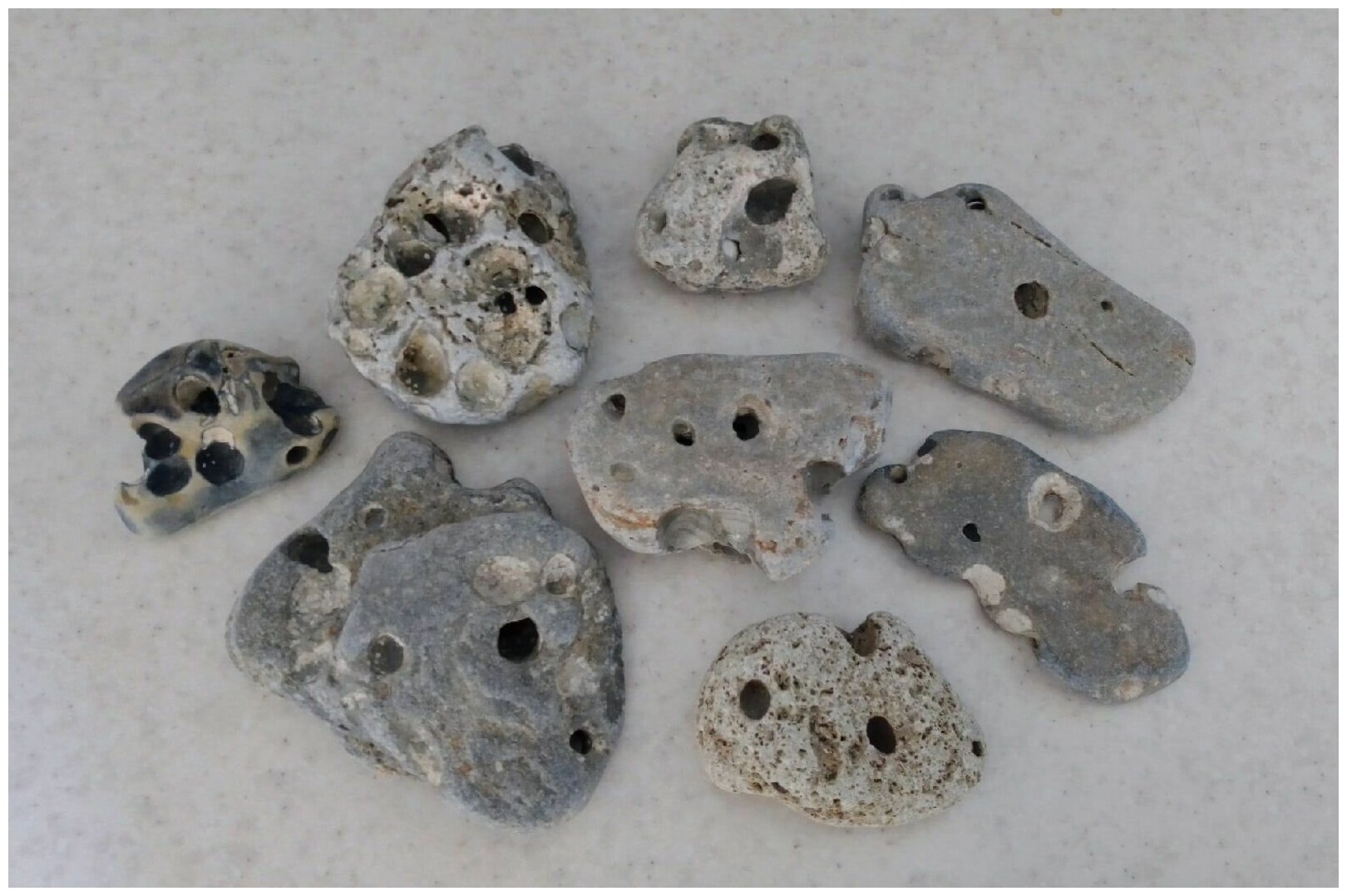 Морской камень с ямками 3шт. 4-8см. для аквариума
