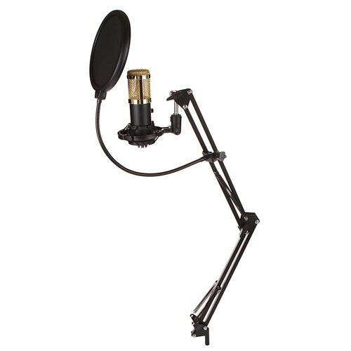 Микрофон Espada EU017-ST 45200 474100₽