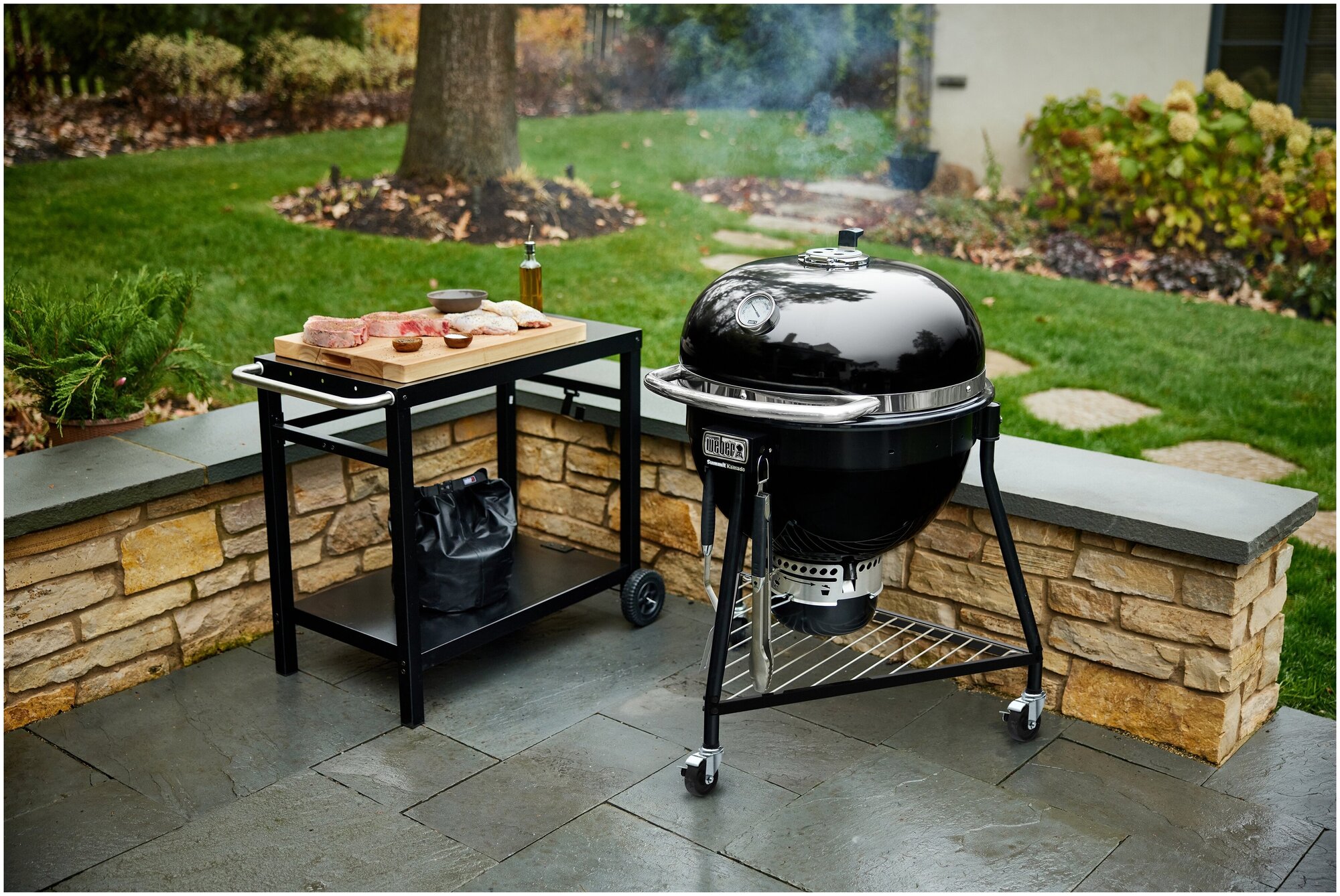 Гриль угольный Weber Summit Kamado E6 - фотография № 13