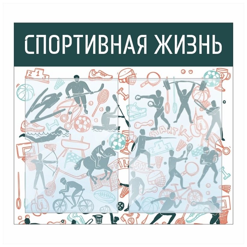 Информационный стенд "Спортивная Жизнь" 500х460 мм с 2 карманами А4 производство "ПолиЦентр"