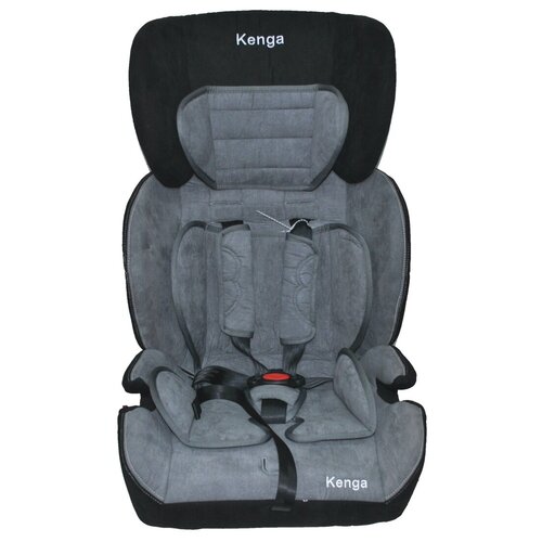 Купить Автокресло Kenga BC702F c Isofix от c 9 до 36 кг, серый