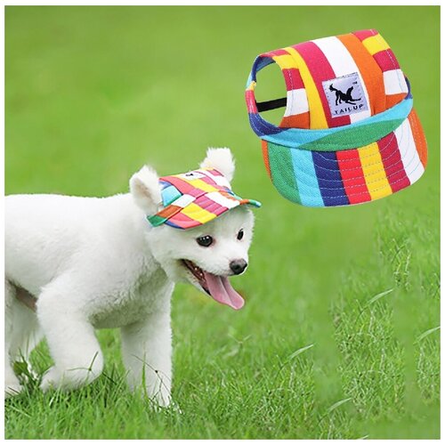 Бейсболка для собак 