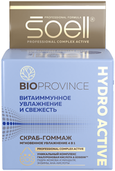 Soell Скраб-гоммаж BioProvince Мгновенное увлажнение 4 в 1 Hydro active 100 мл